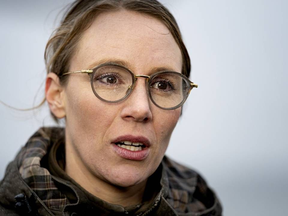 Miljøminister Lea Wermelin (S) er stærkt utilfreds med Kammeradvokaten. | Foto: Ida Guldbæk Arentsen/Ritzau Scanpix