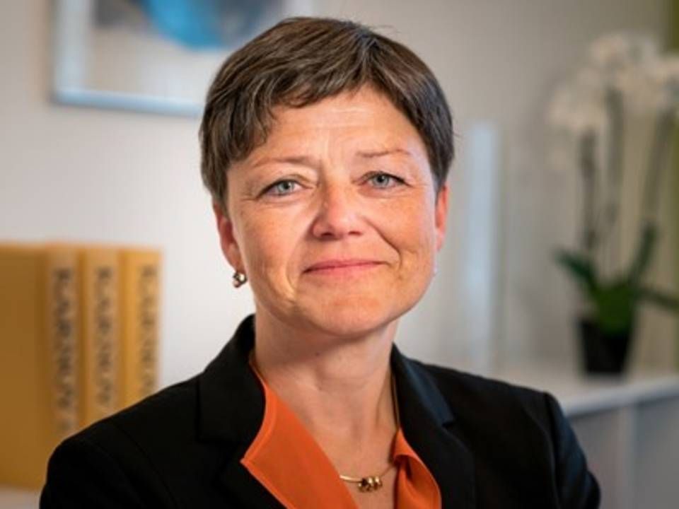 Hanne Fabricius-Haunstrup partner og advokat hos Advokaterne Sankt Knuds Torv. | Foto: Advokaterne Sankt Knuds Torv