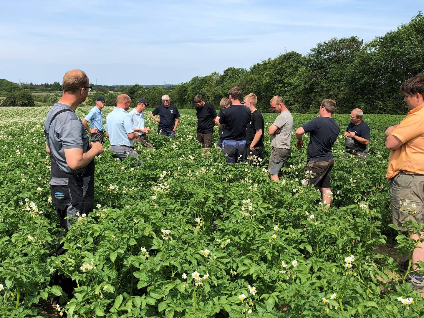 BJ-Agro er en saf de største rådgiverselskber til danske kartoffel-avlere. | Foto: PR-foto BJ-Agro