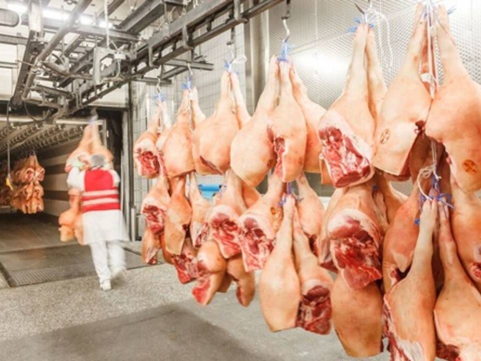 Slagterikoncernen Tönnies sender mange containere med svinekød til Kina. | Foto: PR / Tönnies