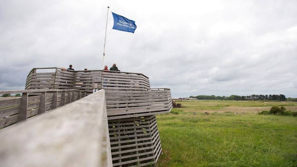 Foto: Daniel Bockwoldt/AP/Ritzau Scanpix