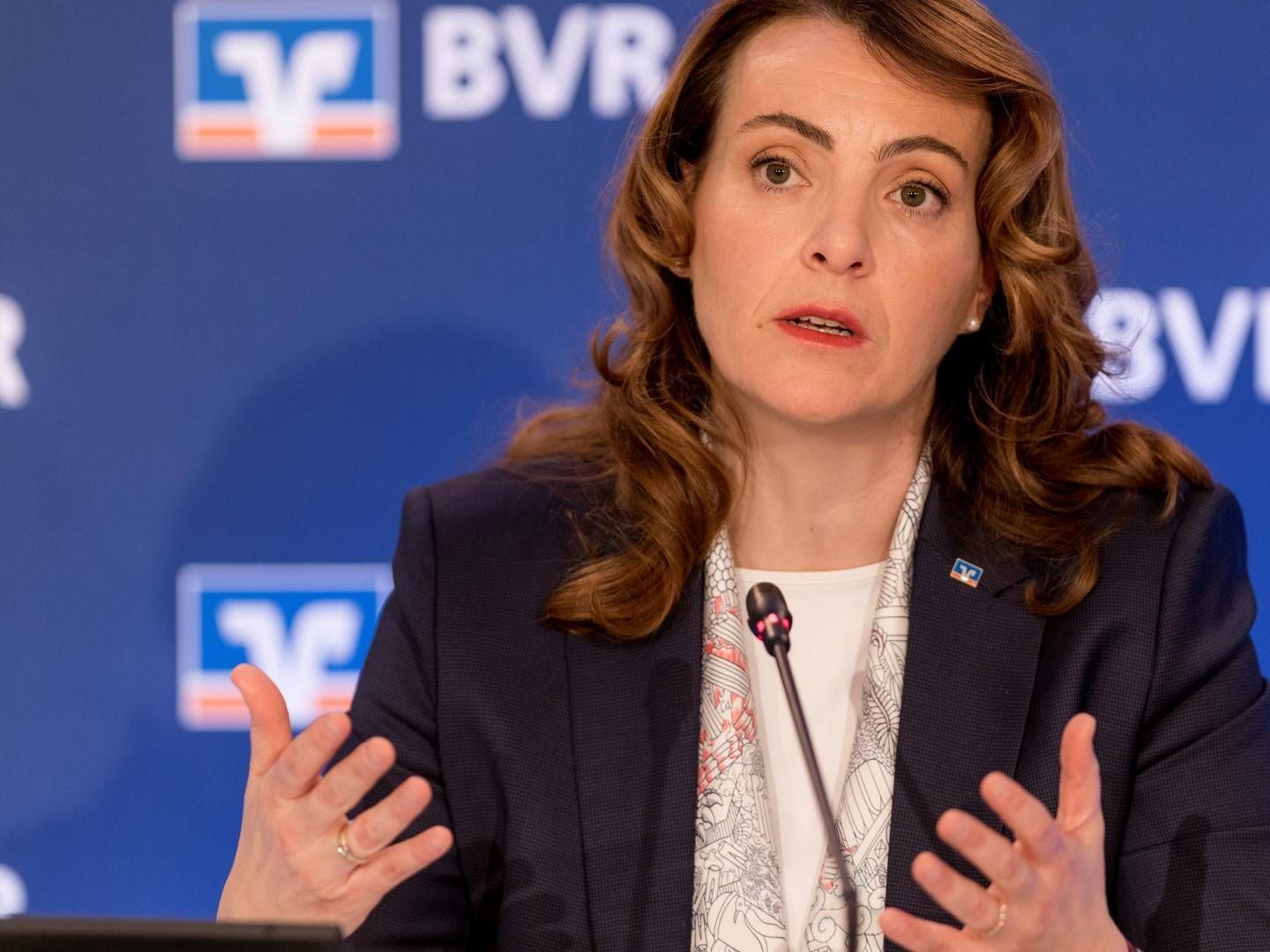 BVR-Präsidentin Kolak | Foto: BVR