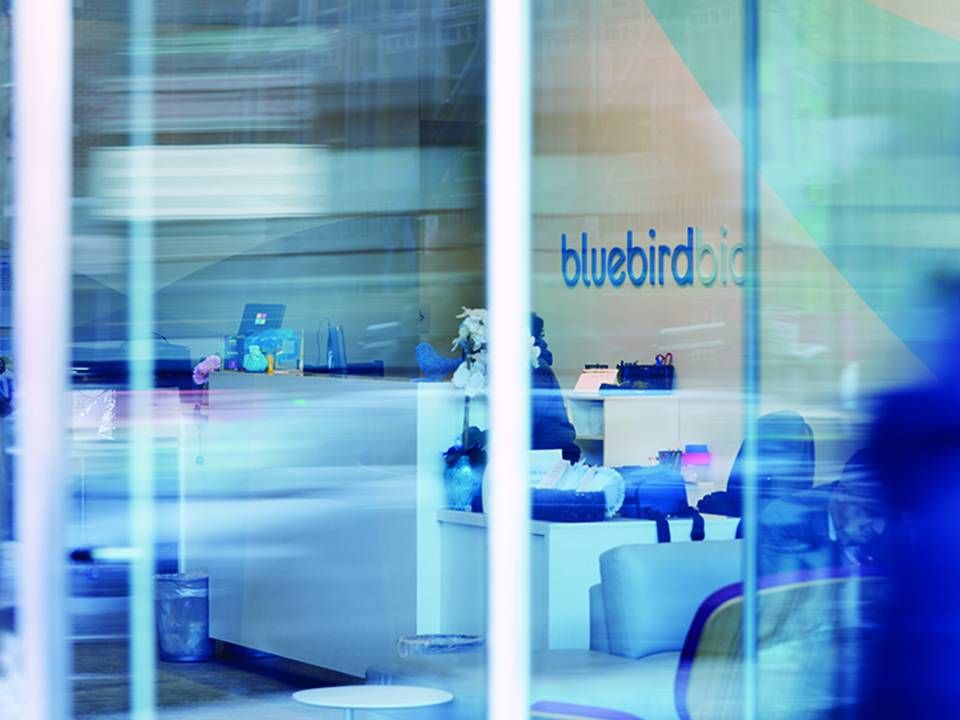 Bluebird Bio står bag genterapien Zynteglo, der behandler den sjældne genetiske blodsygdom beta-thalassæmi. | Foto: Bluebird Bio / PR