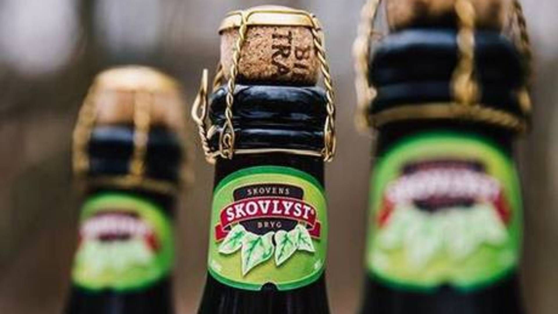 Foto: PR/Skovlyst