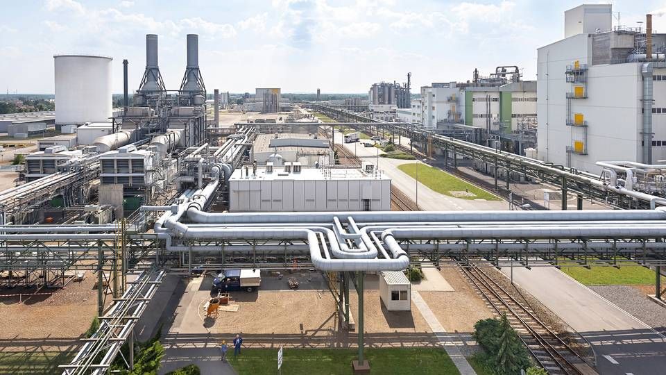 Anlægget i Schwarzheide, hvor der skal bygges en katodefabrik frem mod 2022. | Foto: PR / BASF/www.basf-schwarzheide.de