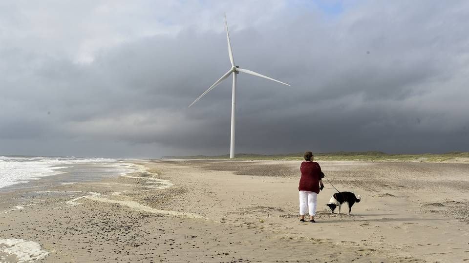 Ifølge Dansk Energi var det især det store fokus på klima og vedvarende energi, som står bag den massive stigning for skift af elleverandør i 2019. | Foto: Ernst van Norde