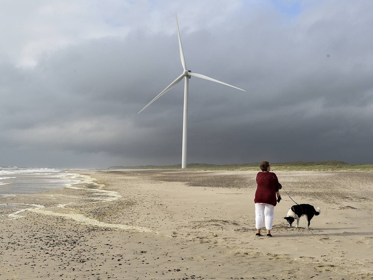 Ifølge Dansk Energi var det især det store fokus på klima og vedvarende energi, som står bag den massive stigning for skift af elleverandør i 2019. | Foto: Ernst van Norde