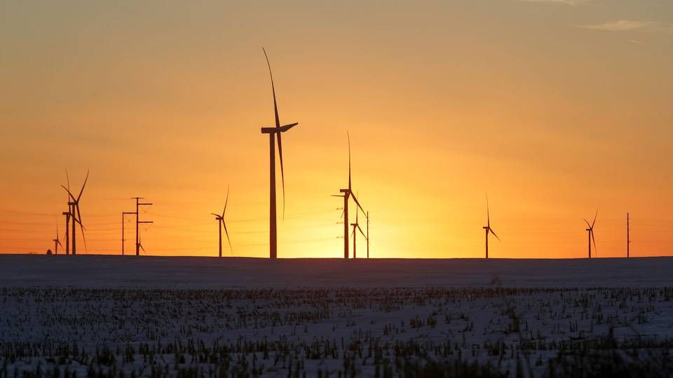 Photo shows a wind farm in Latimer, Iowa. | Photo: Jonathan Ernst/Reuters/Ritzau Scanpix
