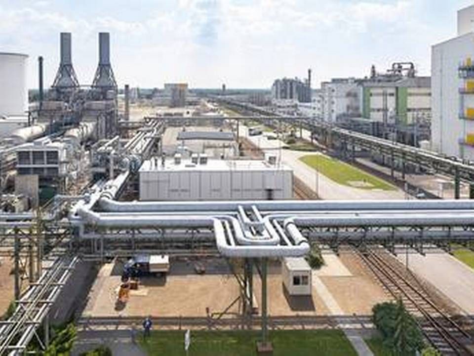 Schwarzheide, where a cathode factory will be built before 2022. | Photo: PR / BASF/www.basf-schwarzheide.de