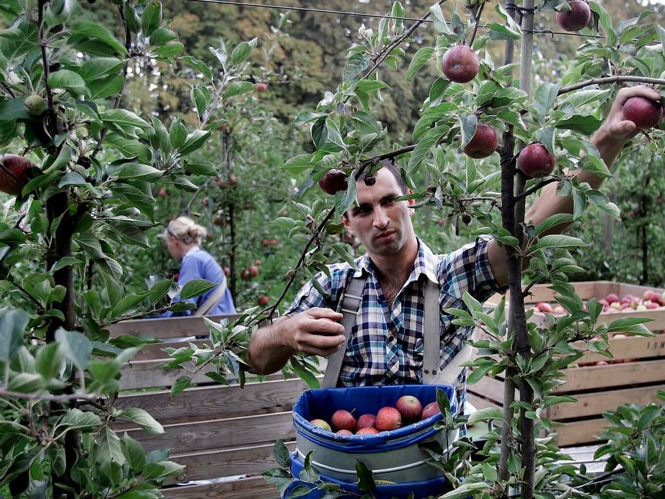 Foto: Finn Frandsen/Politiken/Ritzau Scanpix