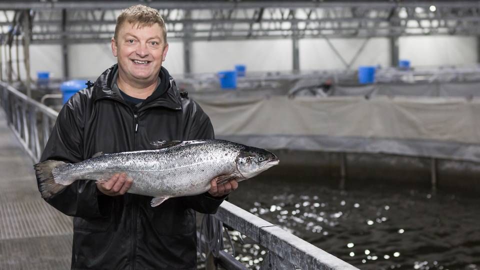 Danish Salmon producerer årligt over 1000 ton laks i landanlæg ved Hirtshals. Her ses fiskemester Per Nielsen. | Foto: PR/Danish Salmon