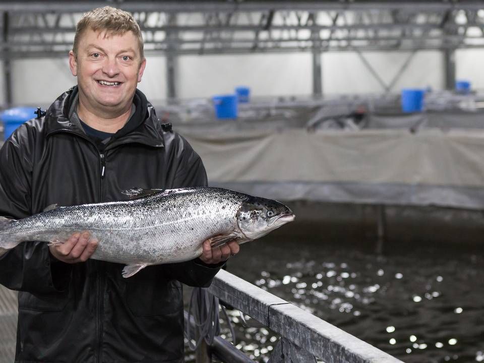 Danish Salmon producerer årligt over 1000 ton laks i landanlæg ved Hirtshals. Her ses fiskemester Per Nielsen. | Foto: PR/Danish Salmon