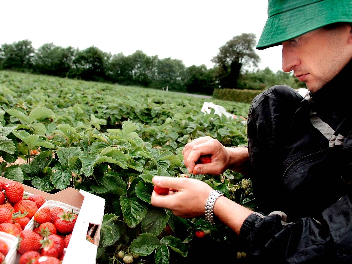 Foto: Morten Flarup/Jyllands-Posten/Ritzau Scanpix