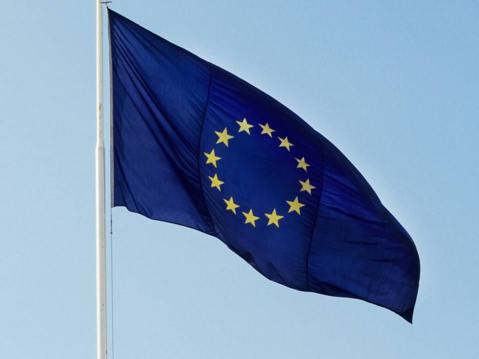 Flagge der EU | Foto: colourbox.com