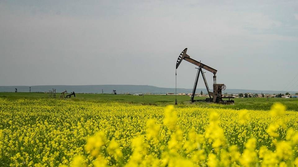 Corona-krisen kan give olieselskaberne en overhånd over for andre VE-investorer, hvis de spiller deres kort rigtigt. Det mener Arij van Berkel, som er energiøkonom hos analysehuset Lux Research. | Foto: Delil Souleiman/AFP / AFP
