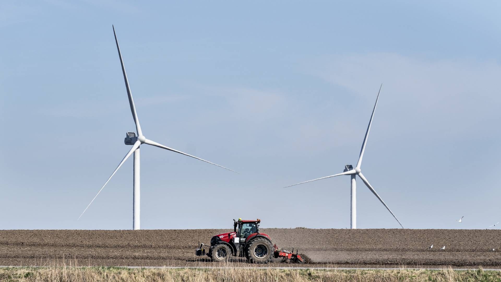 Foto: HENNING BAGGER/Henning Bagger / henning bagger