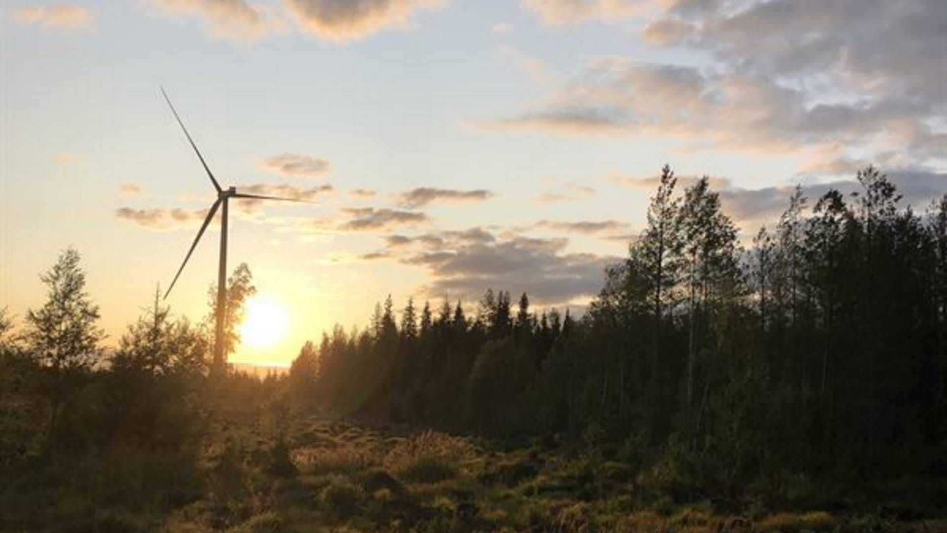 Fontavis vindpark i Finland. Dette er ikke den aflyste park i Dalbygda. | Foto: PR / OX2