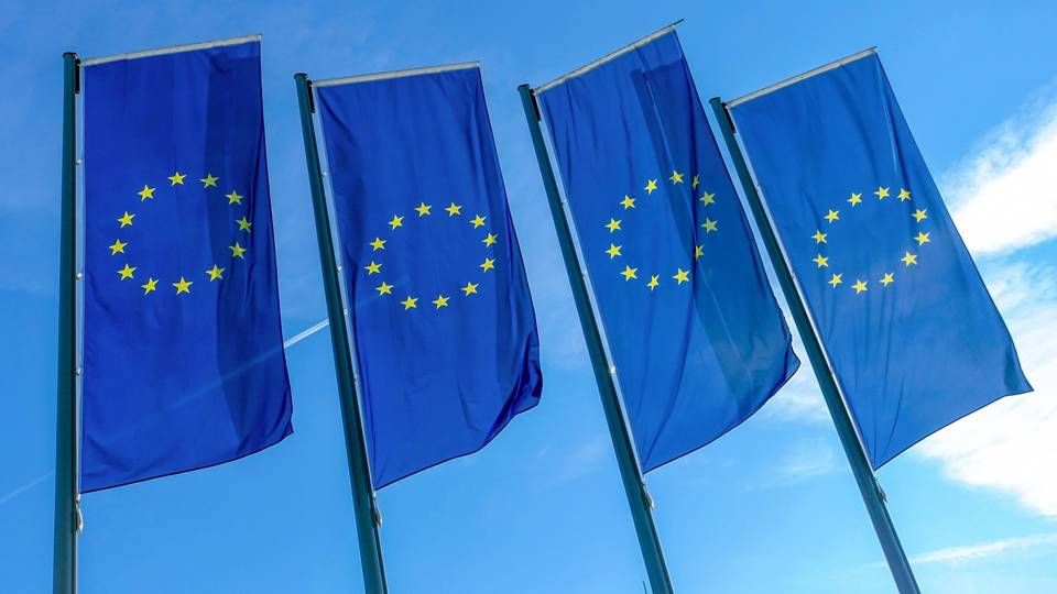 Fahnen mit EU-Symbol | Foto: picture alliance / Daniel Kalker