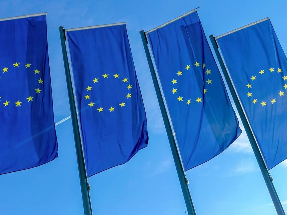 Fahnen mit EU-Symbol | Foto: picture alliance / Daniel Kalker