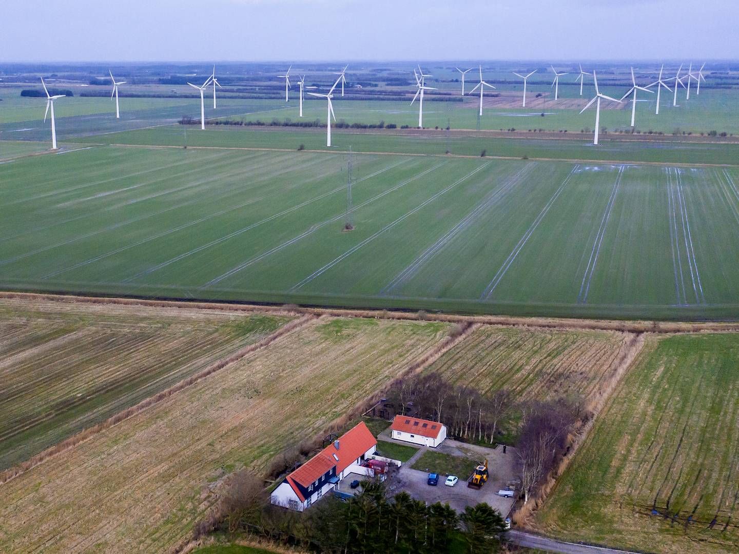 Der skal gøres op med begrænsningerne på vindmøller i Danmark, noterer Dansk Erhverv i et nyt udspil. | Foto: René Schütze