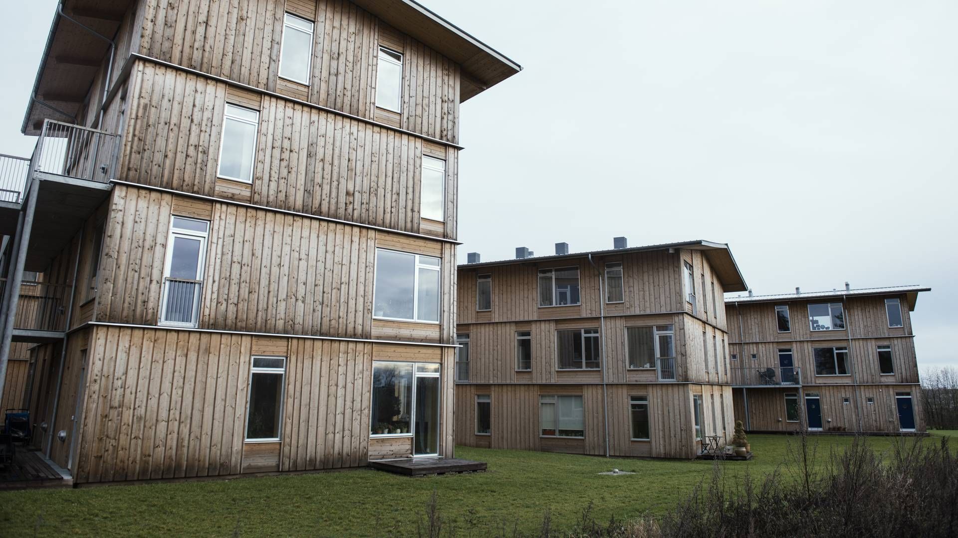 "Grundlæggende bæredygtighedscertificerer Bygningsstyrelsen ikke byggerier af egen drift, fordi det er udgiftsdrivende," fortæller pressechef Carsten Engedal på vegne af styrelsen. | Foto: Morten Lau-Nielsen/JPA