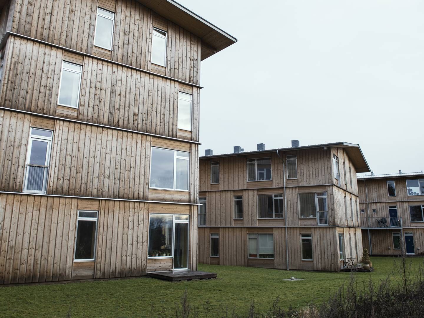 "Grundlæggende bæredygtighedscertificerer Bygningsstyrelsen ikke byggerier af egen drift, fordi det er udgiftsdrivende," fortæller pressechef Carsten Engedal på vegne af styrelsen. | Foto: Morten Lau-Nielsen/JPA