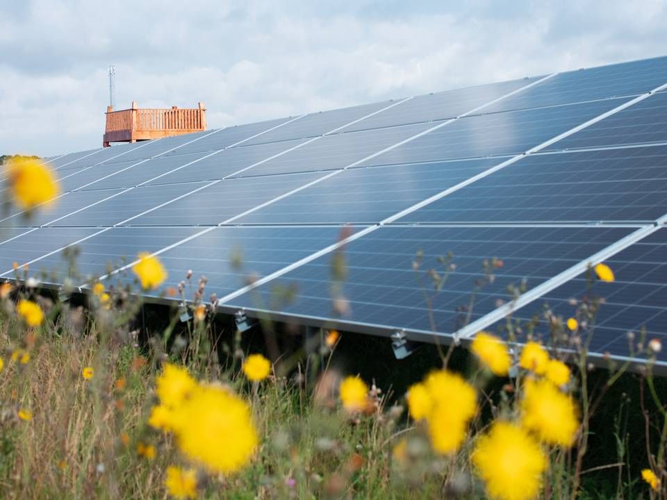 Et enigt byråd godkendte mandag aften et ønske fra Forsyning Helsingør om at oprette et nyt aktieselskab for solenergi. | Foto: Better Energy