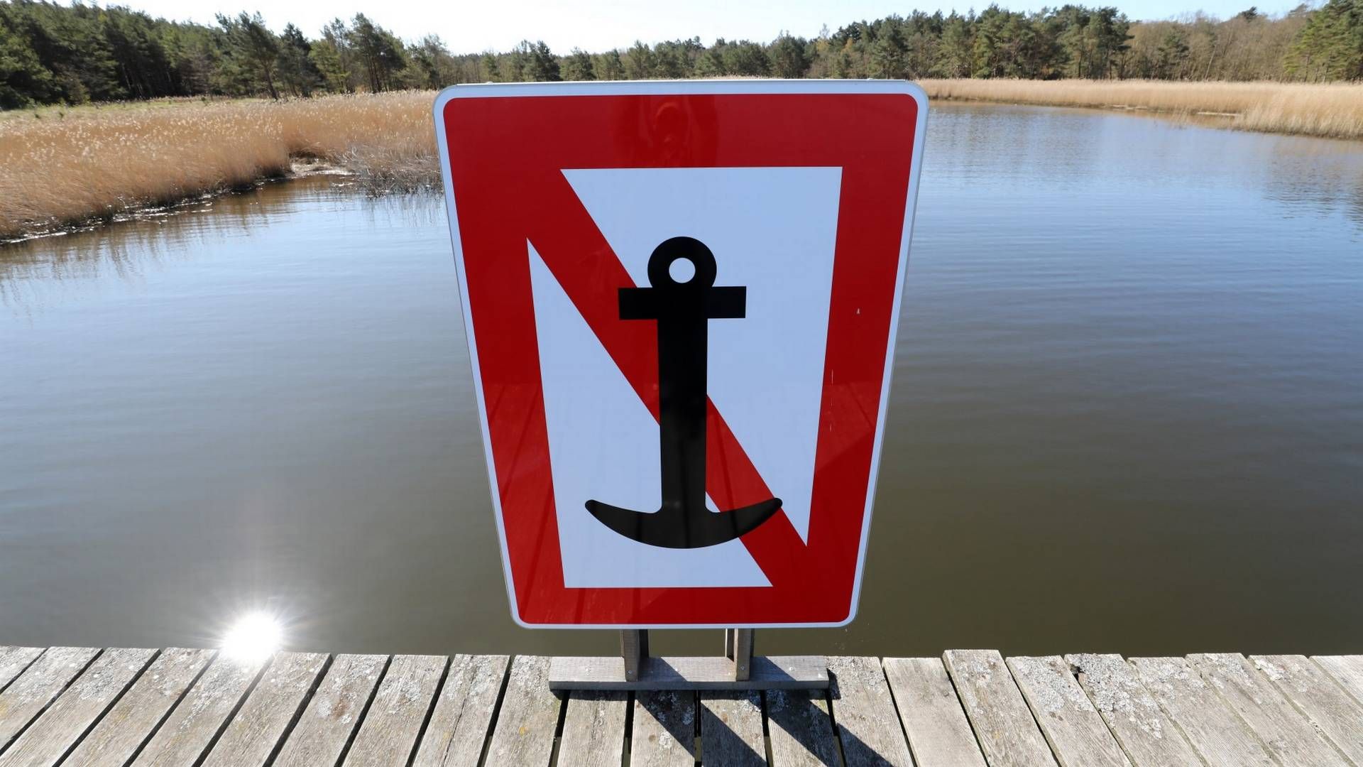 Ein Schild verbietet das Ankern im Nationalpark Vorpommersche Boddenlandschaft. (Symbolbild) | Foto: picture alliance/Bernd Wüstneck/dpa-Zentralbild/dpa