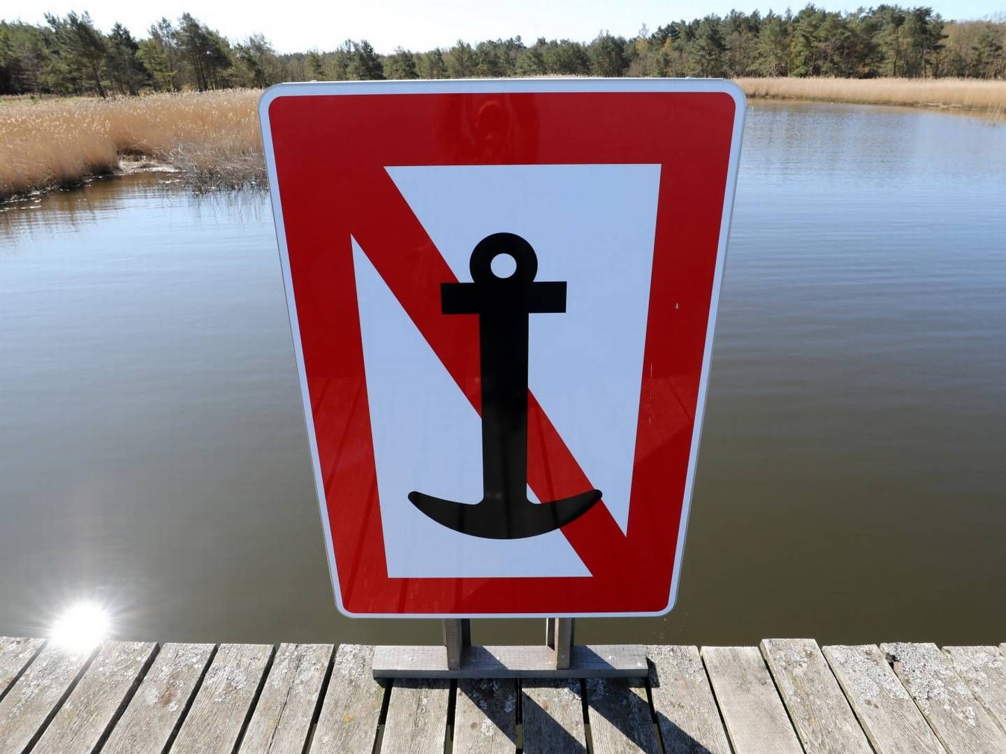 Ein Schild verbietet das Ankern im Nationalpark Vorpommersche Boddenlandschaft. (Symbolbild) | Foto: picture alliance/Bernd Wüstneck/dpa-Zentralbild/dpa