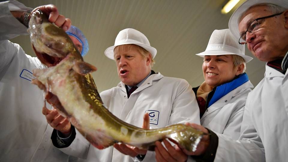 Den britiske premierminister, Boris Johnson, afviser gennem en talsmand, at han er villig til at indgå kompromis med EU, når det gælder en fremtidig fiskeriaftale. | Foto: Pool New/Reuters/Ritzau Scanpix