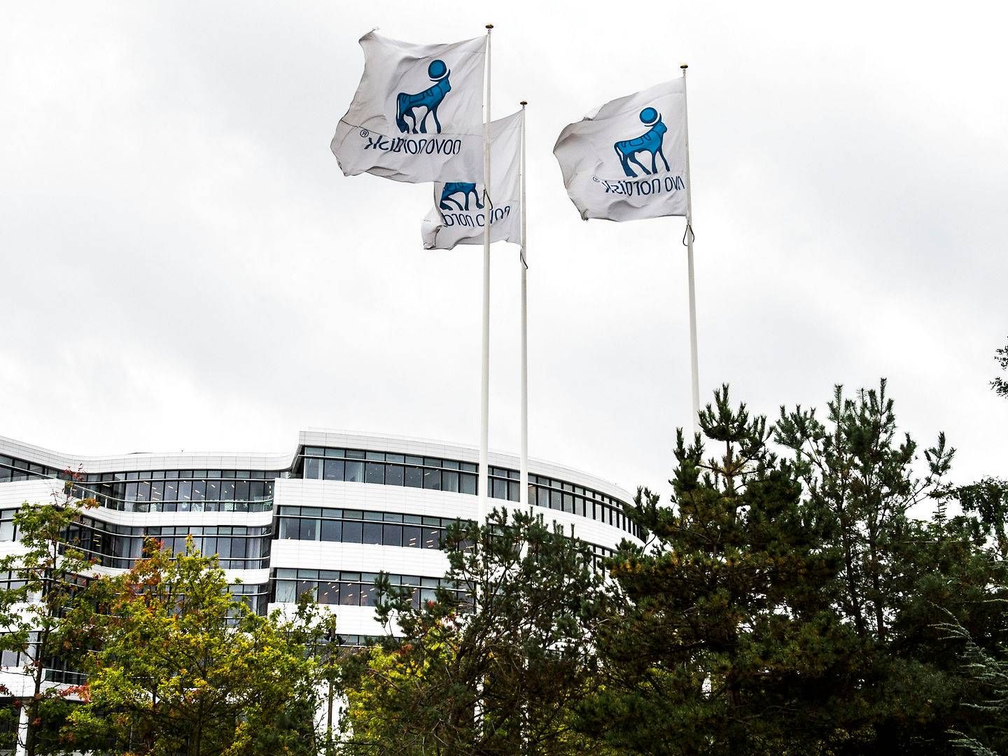 Salgsmålet mellem Novo Nordisk og Biomarin startede, da Novo Nordisks chef for salg af hæmofilimidler på den amerikanske østkyst, James Stephens, skiftede til Biomarin i september. | Foto: Stine Tidsvilde / Ritzau Scanpix