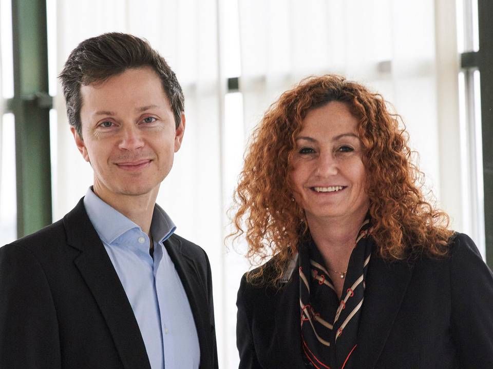 Ludvig Find er ejer og direktør (CEO), mens Andreea Kaiser er investeringsdirektør (CIO) hos Elf Development | Foto: PR / Elf Development