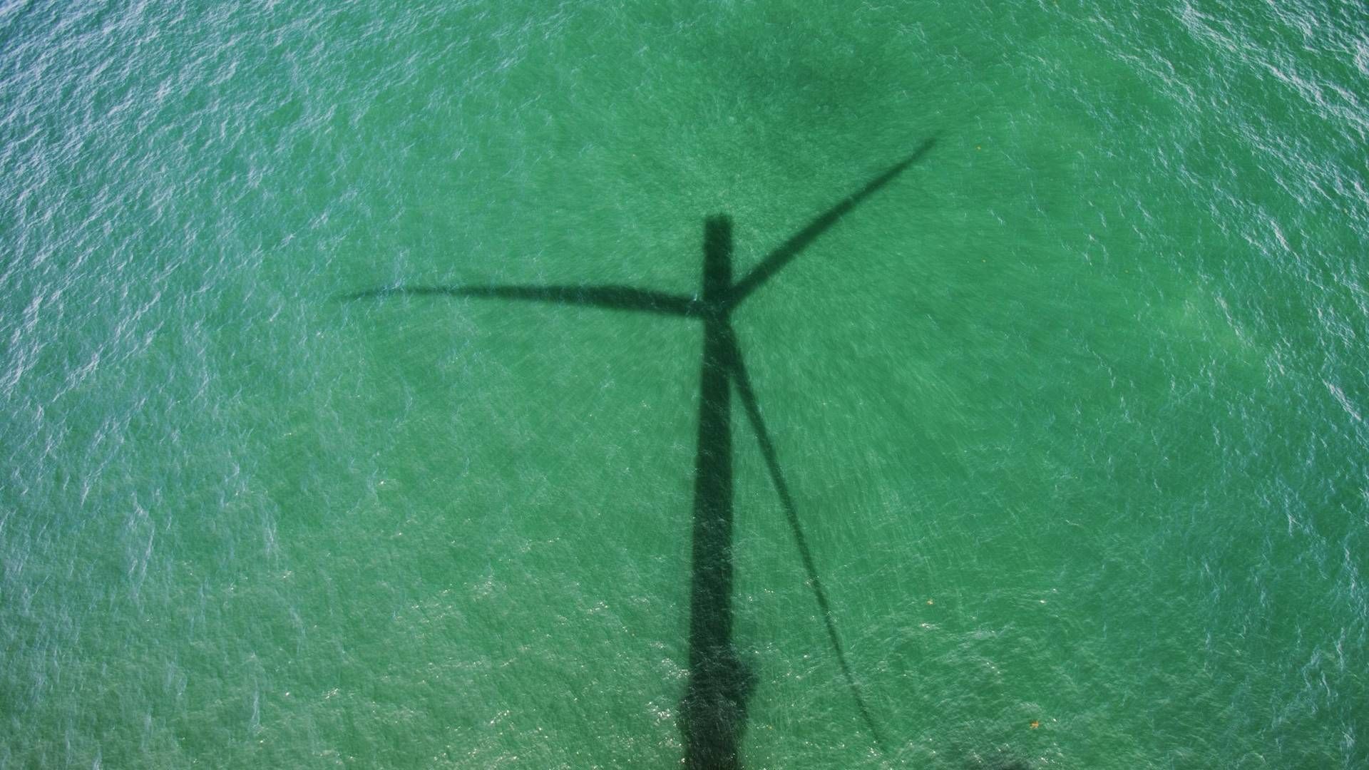 Grüne Anleihen werden bevorzugt in Euro begeben. | Foto: picture alliance / Global Warming Images