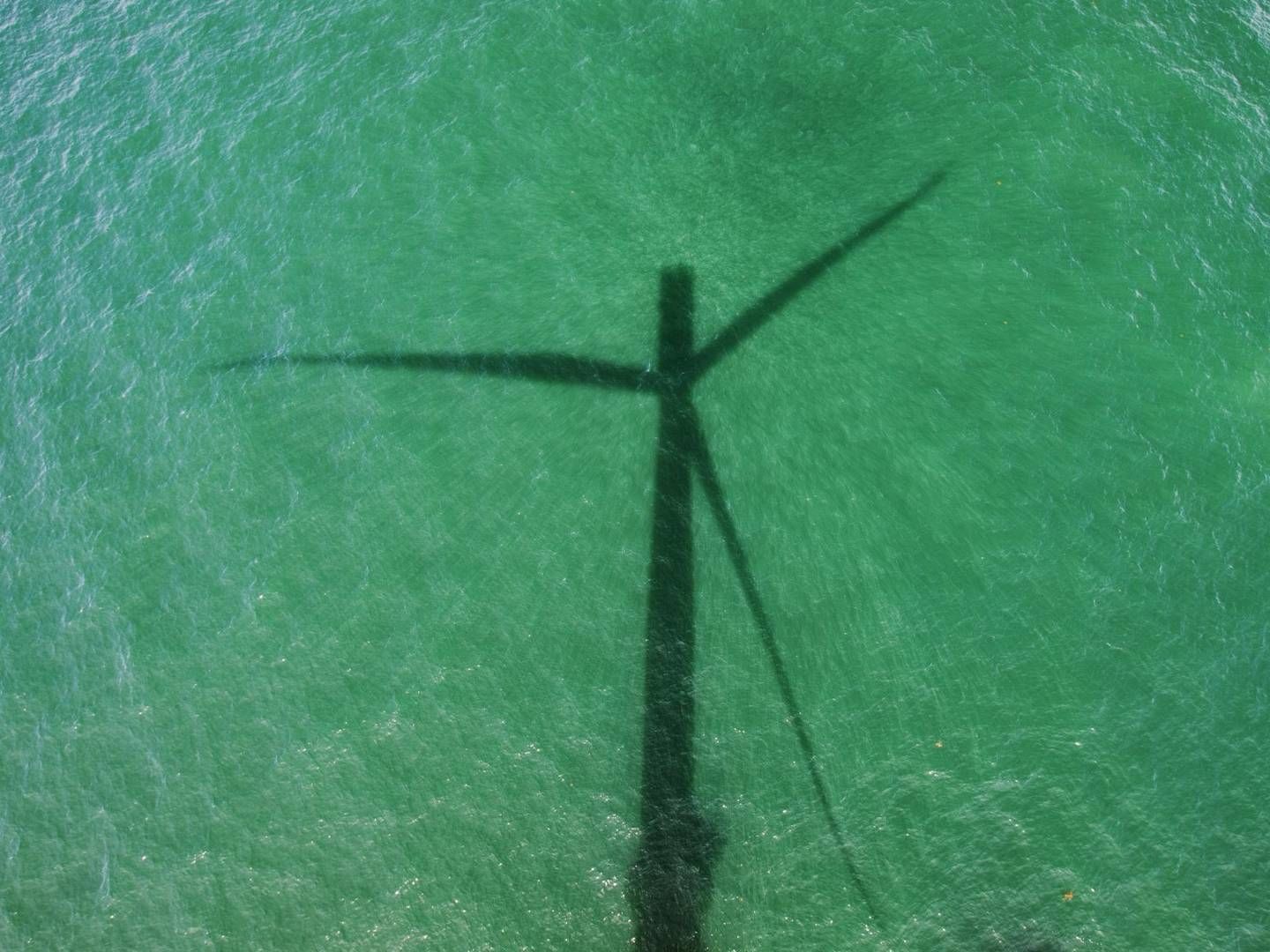 Grüne Anleihen werden bevorzugt in Euro begeben. | Foto: picture alliance / Global Warming Images