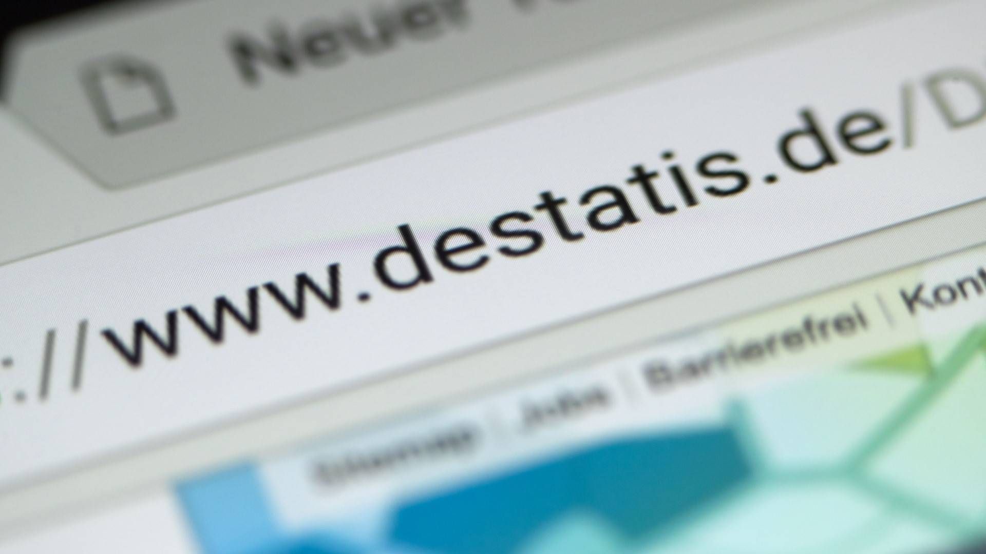 Internetseite des Statistischen Bundesamts | Foto: (c) dpa