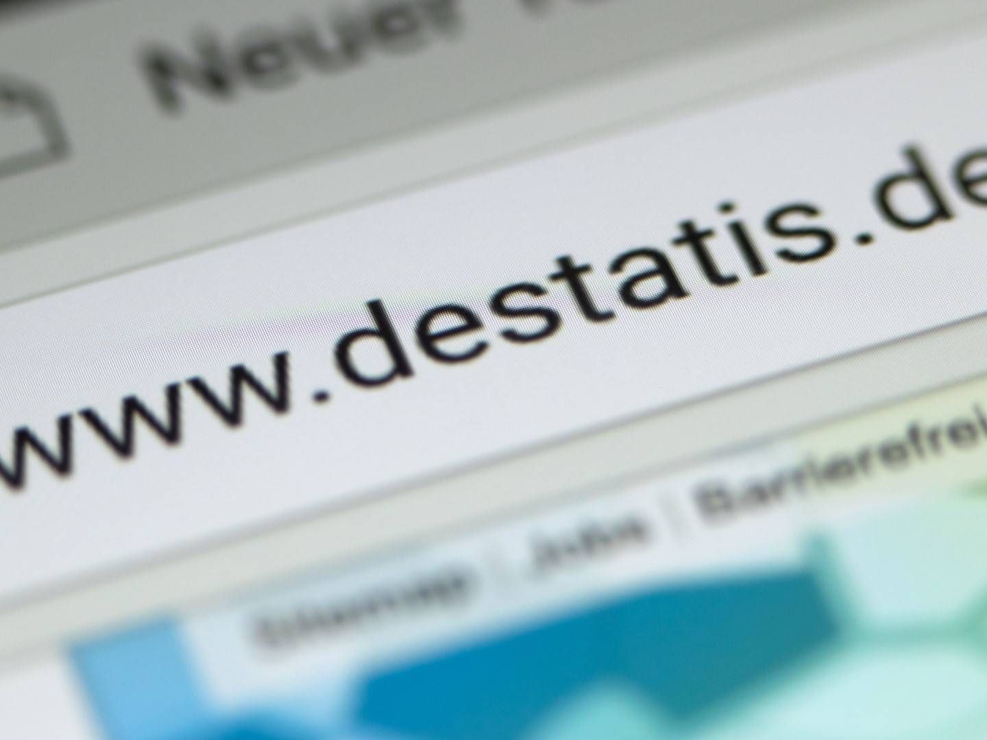 Internetseite des Statistischen Bundesamts | Foto: (c) dpa