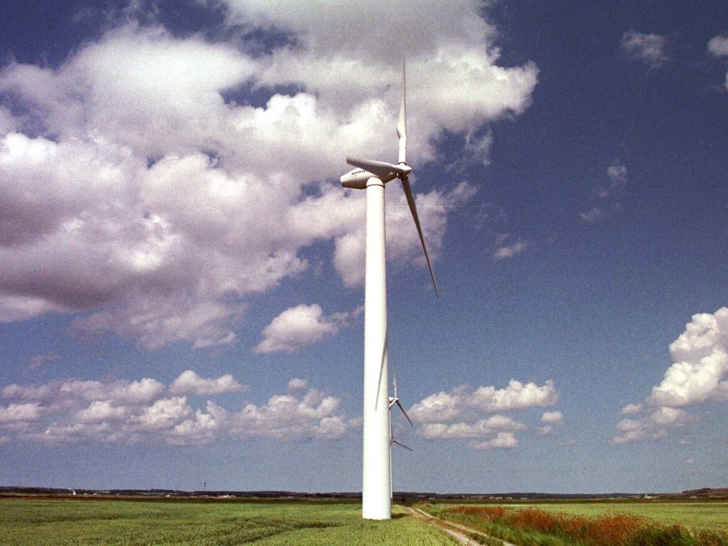 Copenhagen Infrastructure Partners vil blant annet satse på vindmøller. Bildet er fra en allerede eksisterende vindmøllepark utenfor Aalborg i Danmark. | Foto: Scan-Foto: Cornelius Poppe