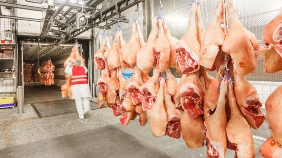 Produktionen er netop indstillet på Tysklands største slagteri. 80 pct. af medarbejderne er smittet med coronavirus. | Foto: PR / Tönnies