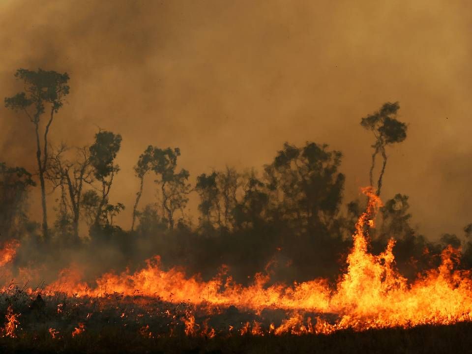 Foto: Bruno Kelly/Reuters/Ritzau Scanpix