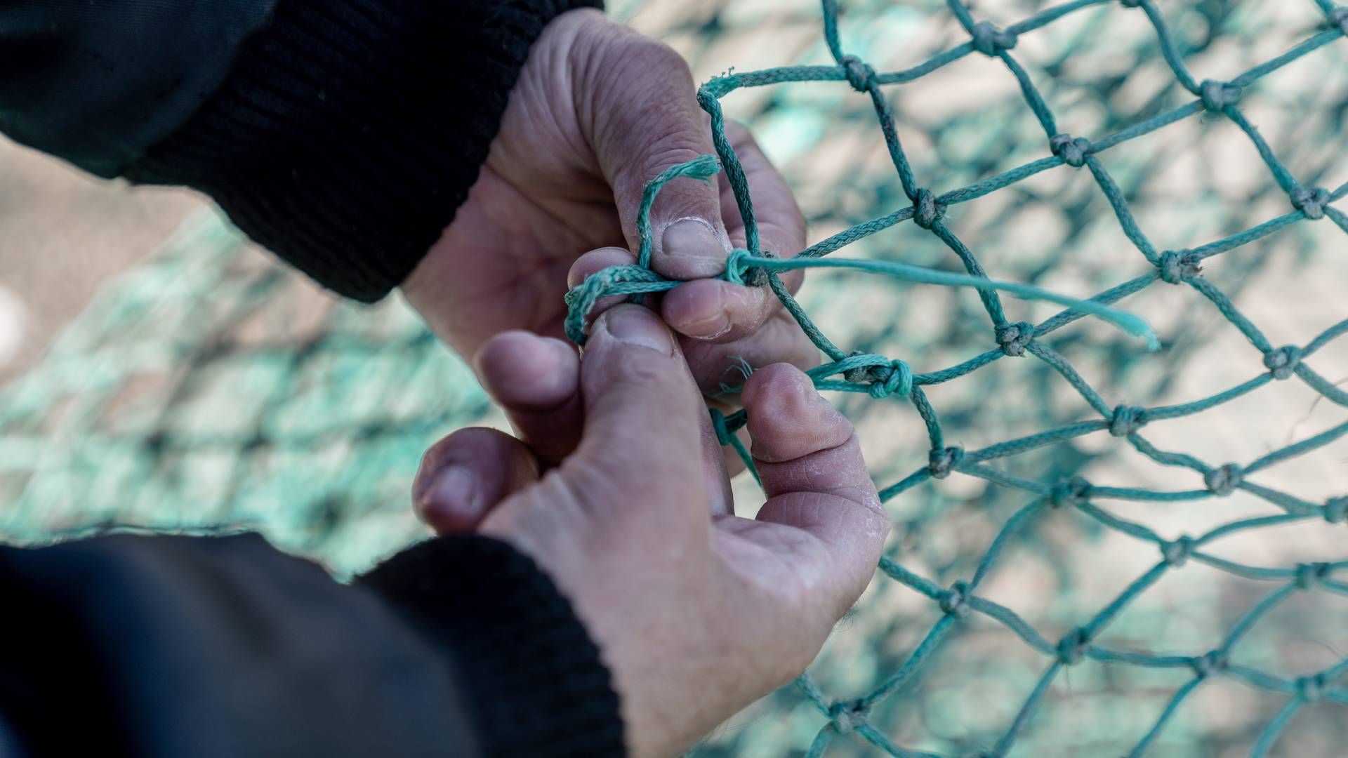 Nettet strammes om ti personer, der nu er tiltalt i sag om fusk med fiskekvoter. | Foto: Aleksander Klug