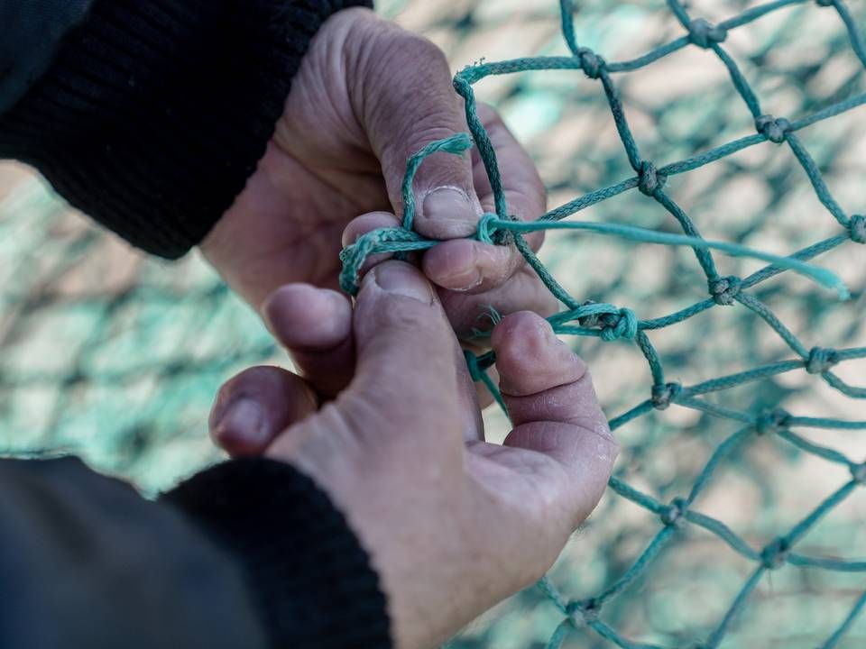 Nettet strammes om ti personer, der nu er tiltalt i sag om fusk med fiskekvoter. | Foto: Aleksander Klug