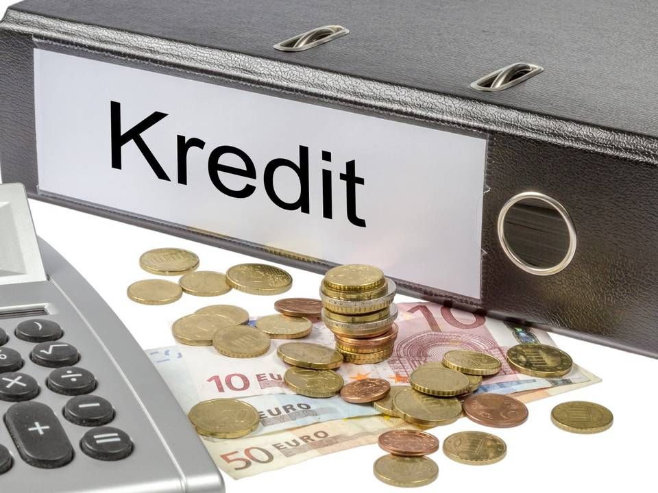 Kreditzinsen sollen für sechs Monate entfallen, wenn es nach der EU geht. (Symbolbild) | Foto: Quelle: Colourbox.com