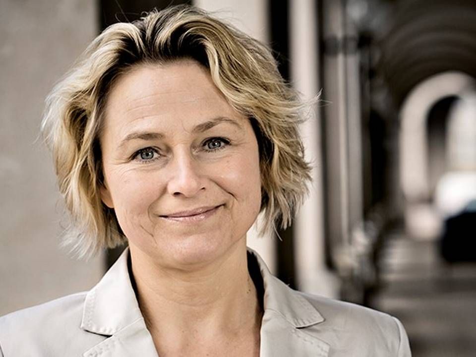 Britta Riis, direktør i Dyrenes Beskyttelse, mener, en ny international dyrevelfærdsorganisation giver mere indflydelse i FN-systemet. | Foto: PR-foto Dyrenes Beskyttelse