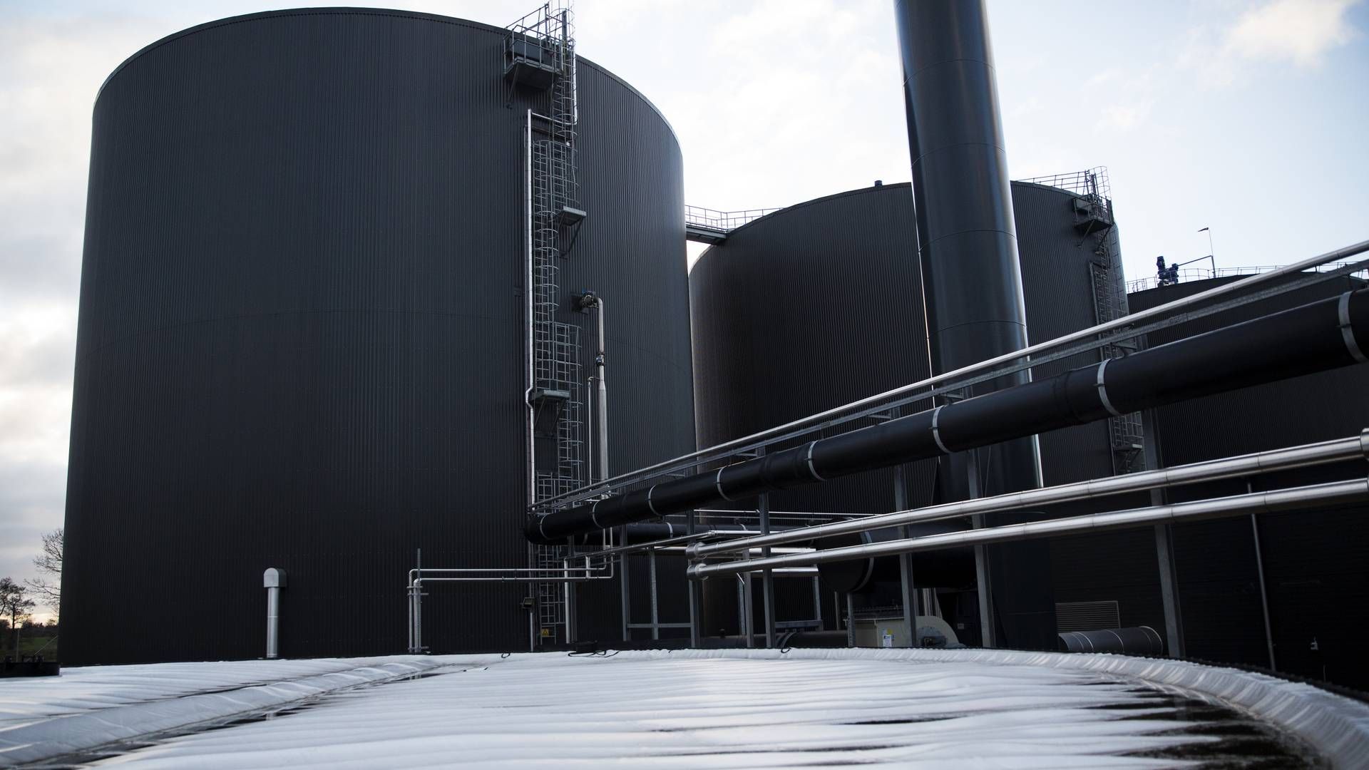 Her ses et biogasanlæg ejet af Nature Energy, landets største biogasproducent, på Midtfyn. | Foto: Louise Herrche Serup