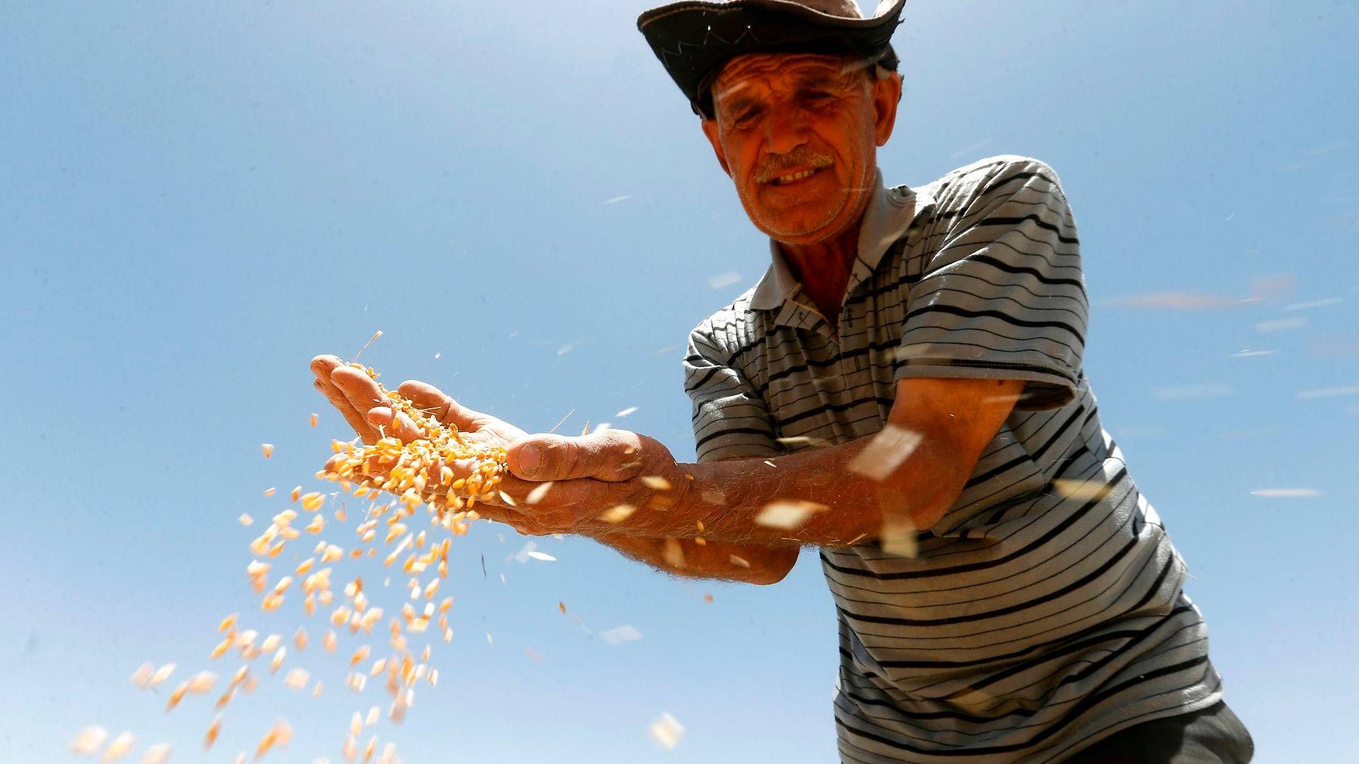 Foto: Louai Beshara/AFP/Ritzau Scanpix