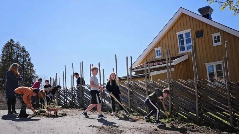 Økologisk Norge får rundt 12 millioner i støtte til å etablere flere skolehager på Østlandet. Bildet er fra etableringen av skolehagen på Nordby skole i Ås. | Foto: Birgitta Hollander/Heia Folk
