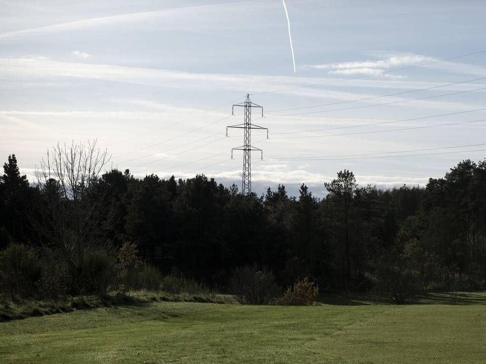 Sidste juni var det tyske elnet af tre omgange i stor ubalance. Nu har bl.a. tre danske elhandlere fået skylden i form af en advarsel fra myndighederne. | Foto: Christian Lykking/IND