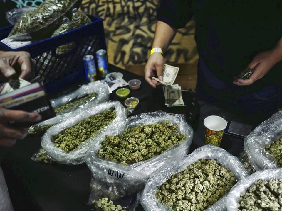 Ein Marihuana-Marktplatz in Los Angeles. (Symbolbild) | Foto: picture alliance/AP Photo