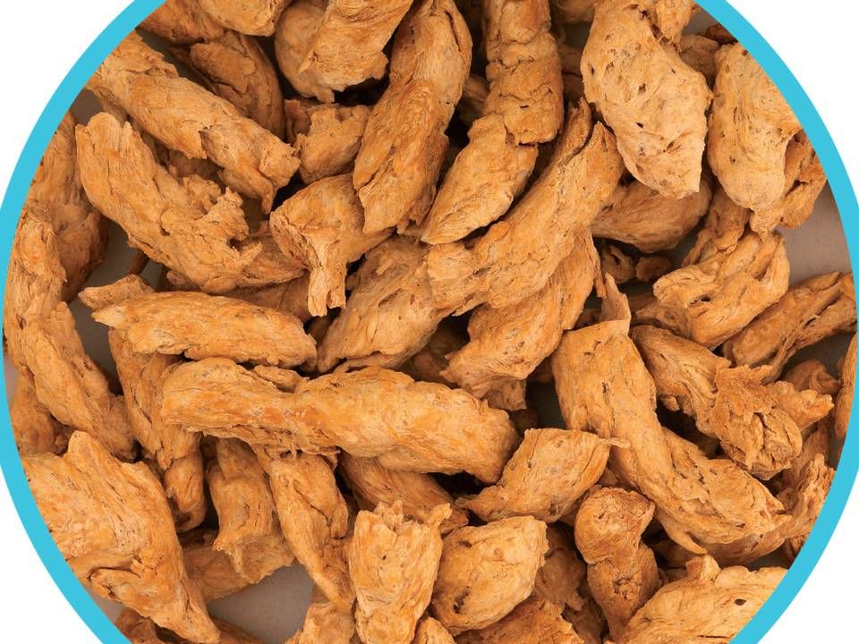 Køderstatningen fås i fem forskellige størrelser: chunks, bites, flakes, mince og gratulat. På dette billede er der tale om chunks. | Foto: PR / Organic Plant Protein.