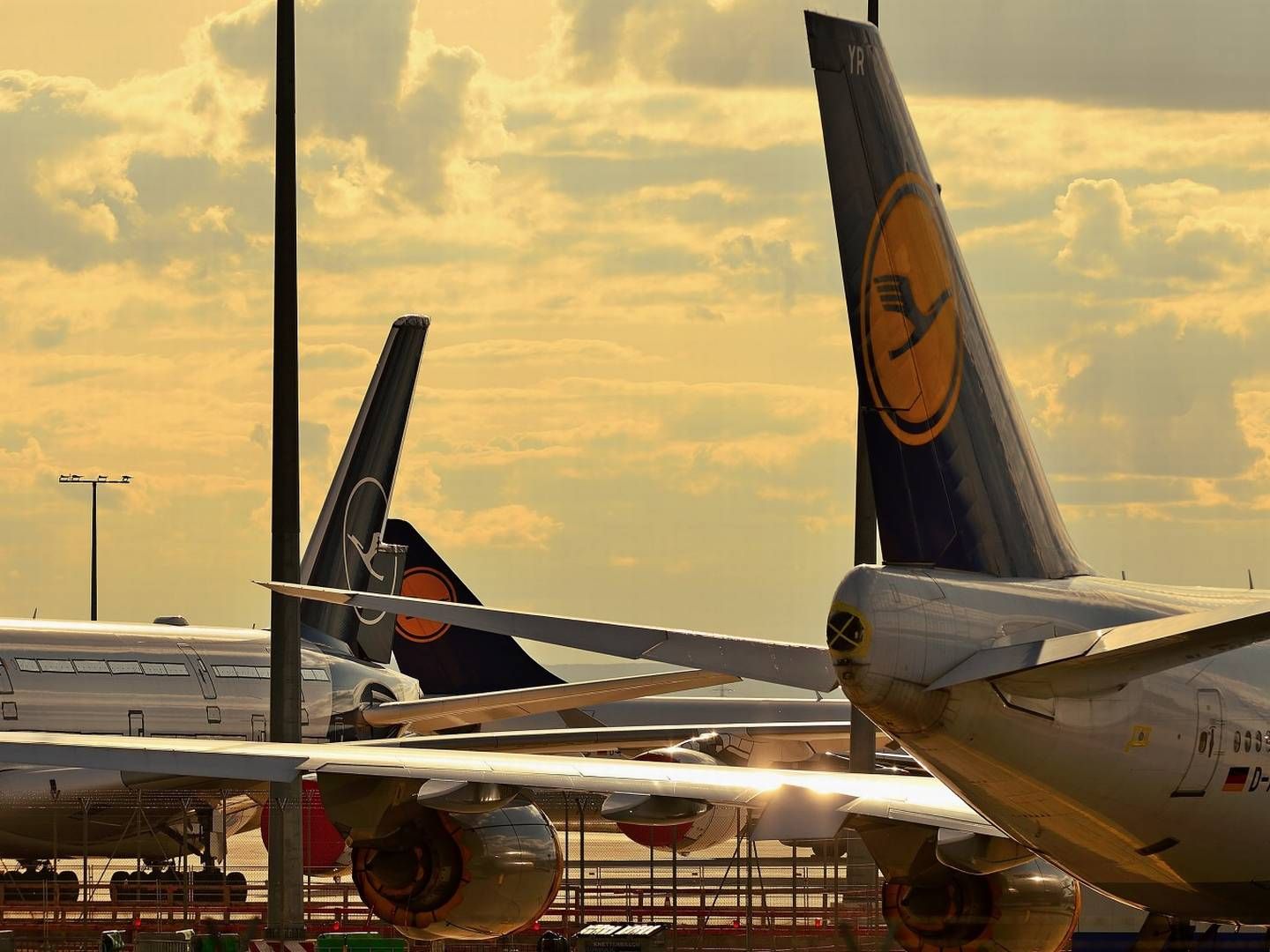 Geparkte Flugzeuge mit abgeklebten Triebwerken und Fenstern vor zwei Tagen auf dem Frankfurter Flughafen. | Foto: picture alliance/Daniel Kubirski